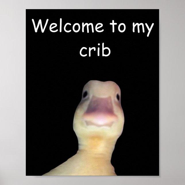 Poster Meme de Pato Engraçado – “Bem-vindo ao Meu Quarto” (Frente)