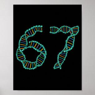 Poster Meme Divertido Número 67 Réplica de DNA Ciência Mo