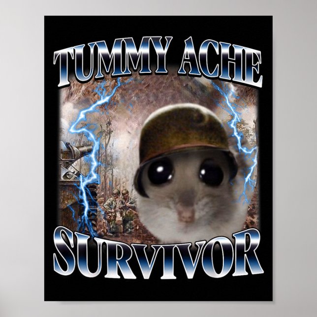 Poster Meme do Hamster Sobrevivente de Dor de Barriga Eng (Frente)