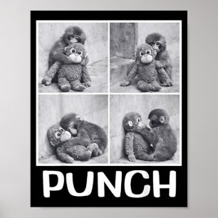 Poster Meme do macaco bebê socando 