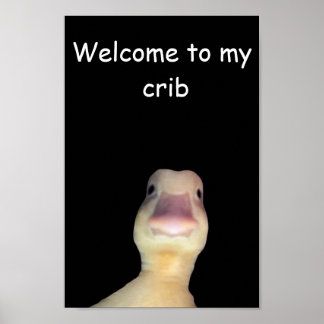 Poster Meme do Pato Engraçado: Bem-vindo à Minha Casa Pat
