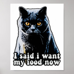 Poster Meme Engraçado do Gato Mal-Humorado Para Donos e A