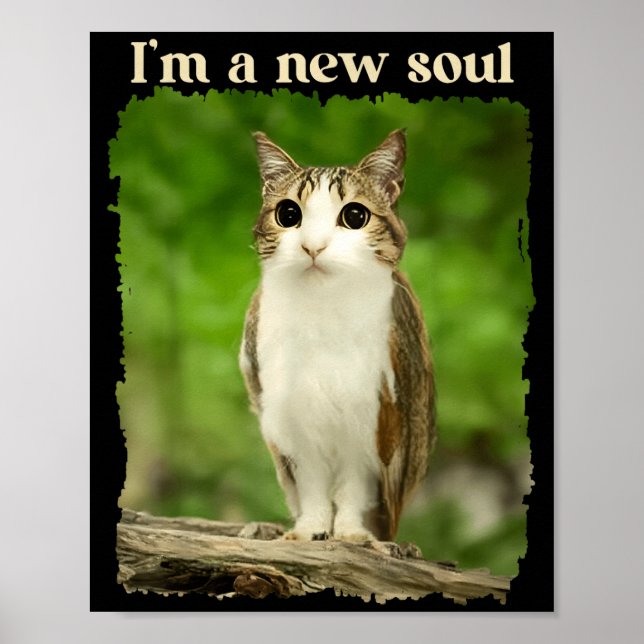 Poster Meme Engraçado do Meowl, Meme do Gato Coruja Brain (Frente)