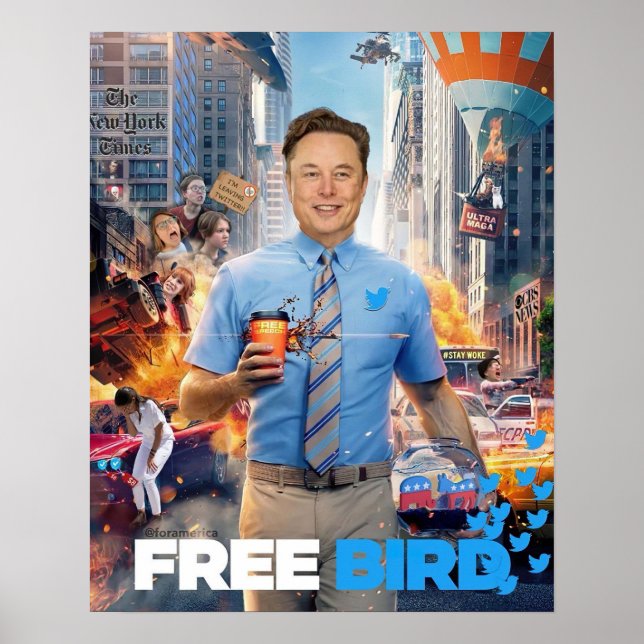 Poster MEME LIVRE DE AVES - Elon, Twitter, Pássaro Livre (Frente)