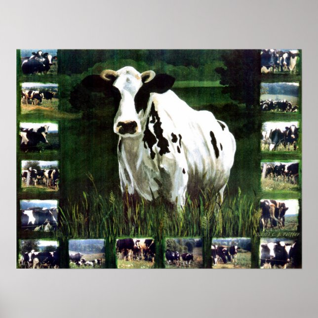 Pôster 'meMOOries' (Frente)