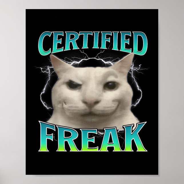 Poster Memória de Gato Engraçado Certificada Memória de G (Frente)