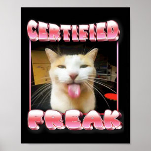 Poster Memória de Gato Engraçado - Memória de Gato Engraç
