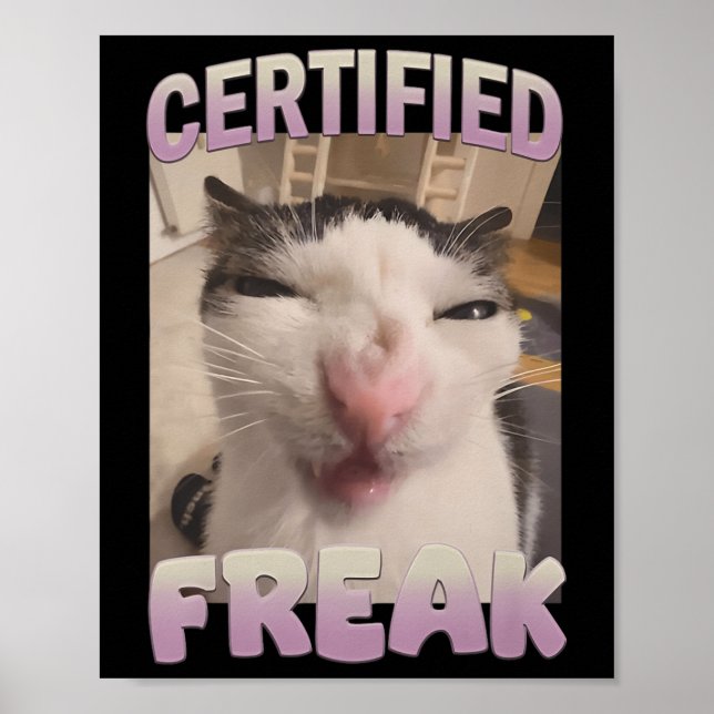 Poster Memória de Gato Freak Certificado Meme Offensive M (Frente)
