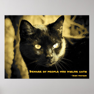 Poster Memória de Gato Negro com provérbio irlandês