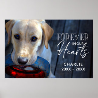 Poster Memória personalizada de animais de estimação com 