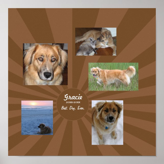 Poster Memorial de Cachorro Personalizado (Frente)