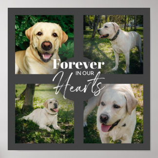 Poster Memorial de Pet de Colagem de Fotos Personalizada