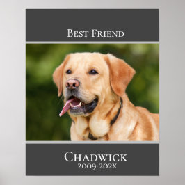 Poster Memorial de Pet do Modern Na moda Add Photo