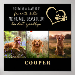 Poster Memorial de Tchau Pet Favorito