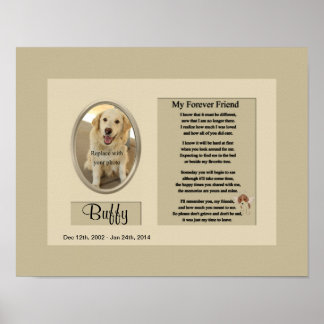 Pôster Memorial do Meu Amigo do Nunca