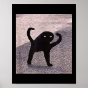 Poster Memórias de Gato Malditos Gatos Irritados Como Boa