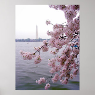 Pôster Memórias desbotadas