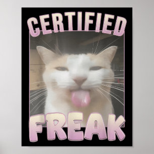 Poster Memórias Ofensivas de Casal Falsa Certificadas