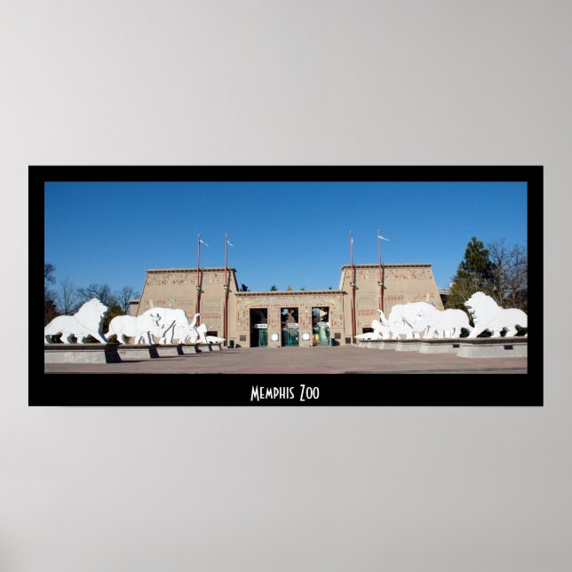 Poster Memphis Zoo (Frente)