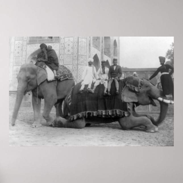 Poster Men Riding Elephants in India PhotographIndia (Frente)