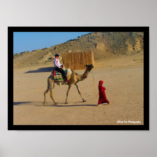 Poster Menina com Camelo (Frente)