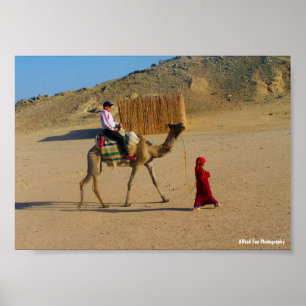 Poster Menina com Camelo