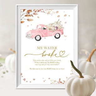 Poster Menina do Caminhão Caiu Chuvinha Baby Shower Meu S