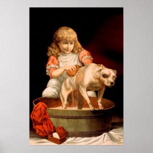 Poster Menina que banha seu cão