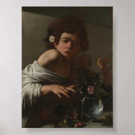 Poster Menino mordido por um Lizard