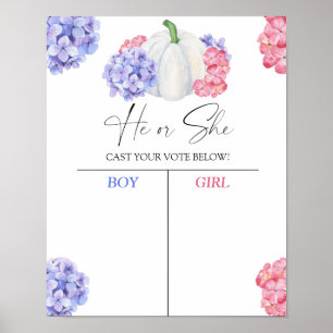 Poster Menino ou garota que abraçamos conhecem o gênero r