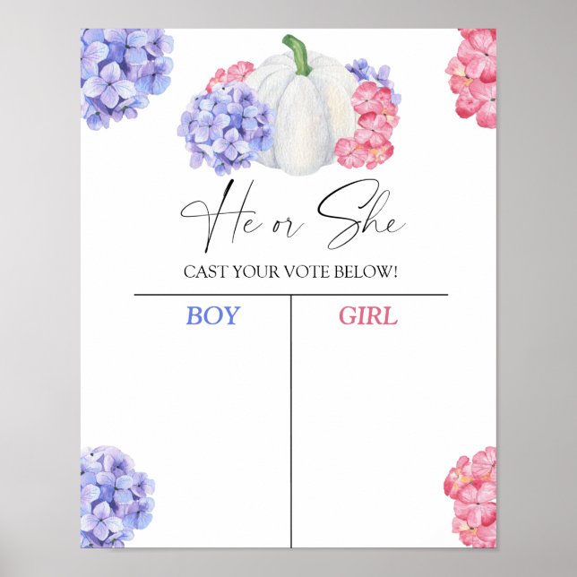 Poster Menino ou garota que abraçamos conhecem o gênero r (Frente)