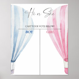 Poster Menino ou menina que conhecemos o mapa revelador d