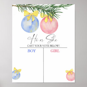 Poster Menino ou menina que conhecemos o mapa revelador d