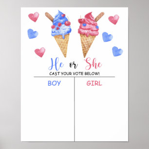 Poster Menino ou menina que conhecemos o mapa revelador d