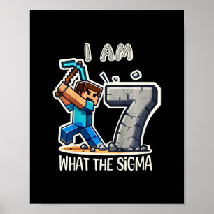 Poster Meninos de 7 Anos de Idade Sigma Pixel Art Mineraç
