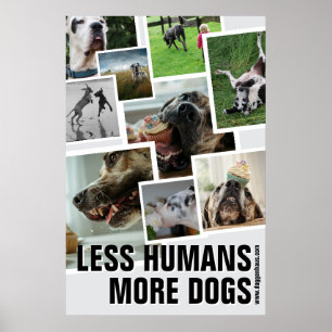 Poster Menos Humanos, Mais Cães