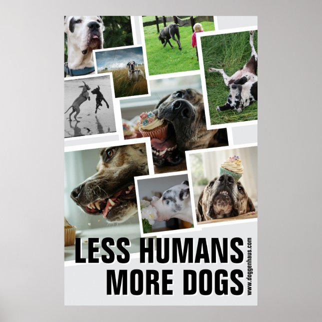 Poster Menos Humanos, Mais Cães  (Frente)