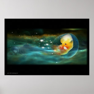 PÔSTER MENTE DE GOLFINHOS