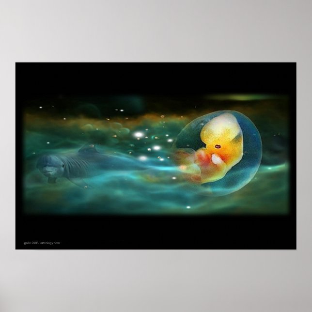 PÔSTER MENTE DE GOLFINHOS (Frente)