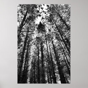 Poster Mentes convergentes