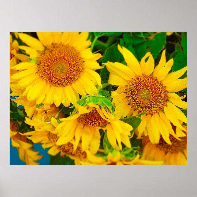 Pôster Mercado de flores suntuárias KC Mercado de agricul (Frente)