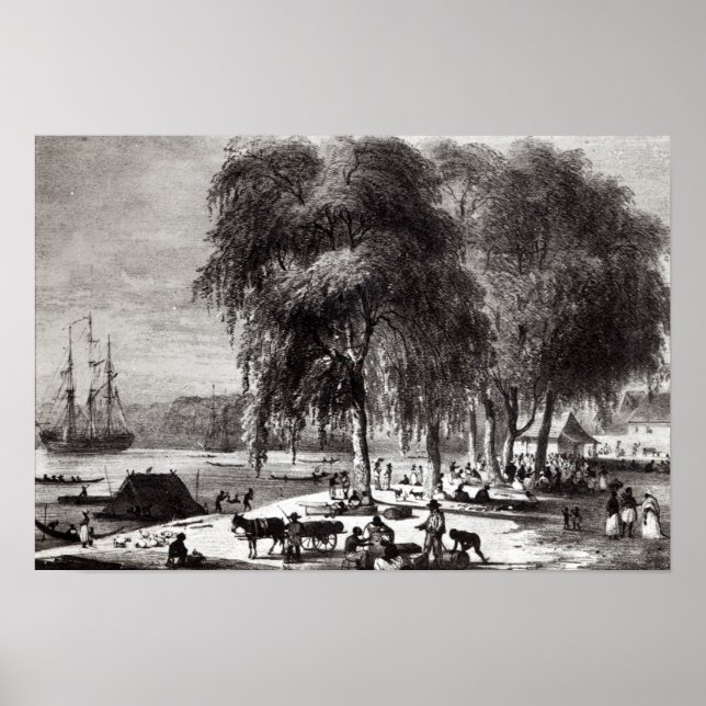 Pôster Mercado do peixe, Paramribo (Frente)