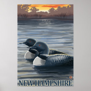 Pôster Mergulhão-do-norte novo de HampshireCommon