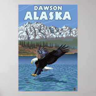 Poster Mergulho da águia americana - Dawson, Alaska