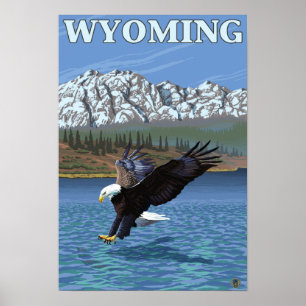 Pôster Mergulho da águia americana - Wyoming