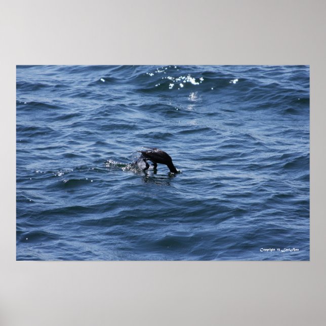 Pôster Mergulho em baixo (Frente)