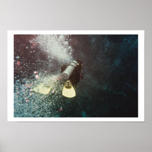 Poster Mergulho em Descendência