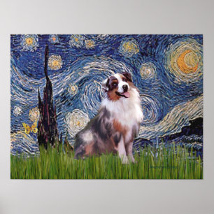 Pôster Merle Aussie Shep - Noite Estrelada