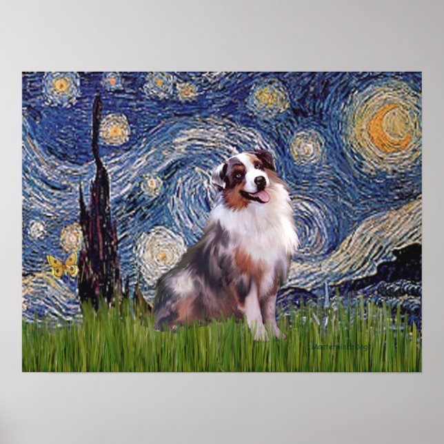 Pôster Merle Aussie Shep - Noite Estrelada (Frente)