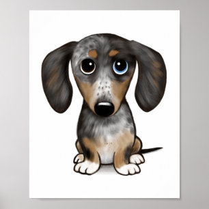 Poster Merle Dapple Dachshund Cute Wiener